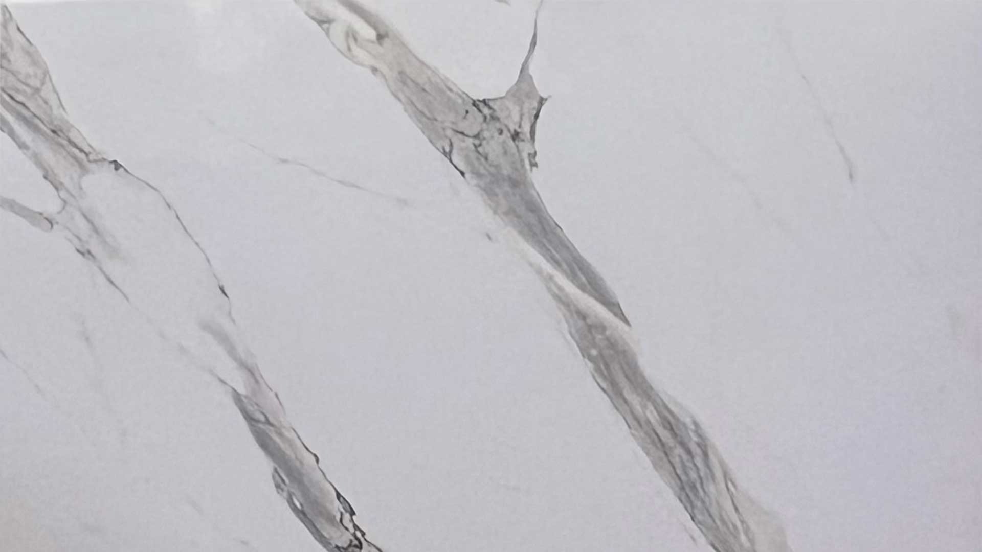 صفحه تاپس خارجی سفید مرمر براق درخت سبز